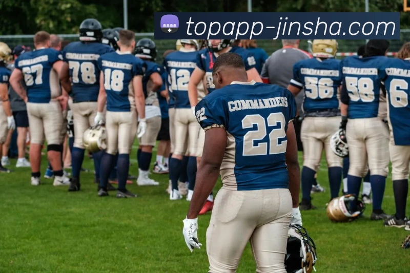 金沙国际平台生态图